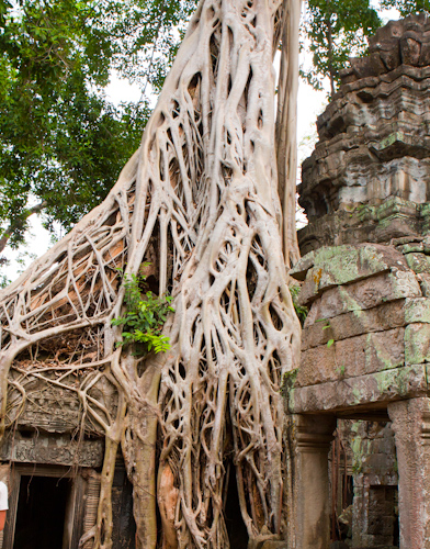 Angkot Wat - Kambodža